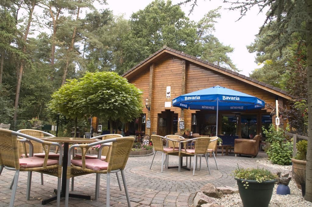 Chalet Dennenvelt Villa Doornspijk ภายนอก รูปภาพ