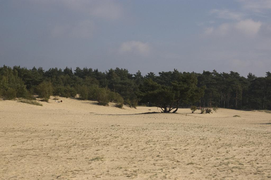 Chalet Dennenvelt Villa Doornspijk ภายนอก รูปภาพ